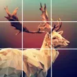 Picture Puzzle Slide Pic Game Picture Puzzle Slide Pic Game