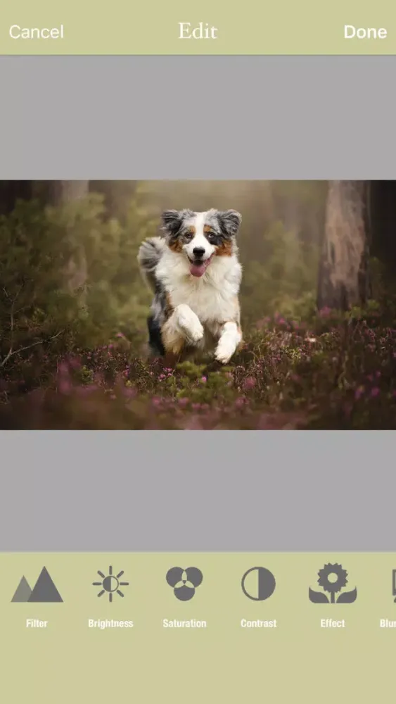 Pictune for Photographer Screenshots