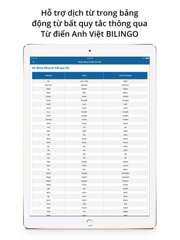 Ngữ Pháp Tiếng Anh Bilingo English Grammar In Use iPad 应用截图