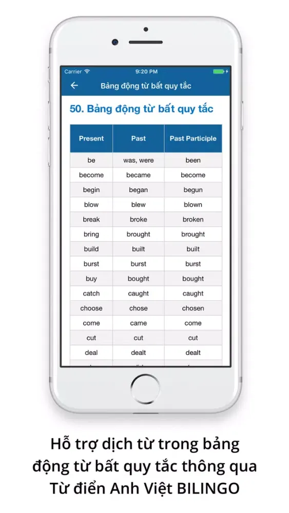 Ngữ Pháp Tiếng Anh Bilingo English Grammar In Use应用截图