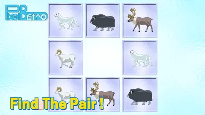 BoxZoo Arctic : Shadow Matching Game سکرین شاٹس