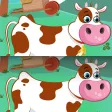 Find the Differences