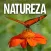 Revista Natureza Brasil