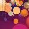 Web Designer