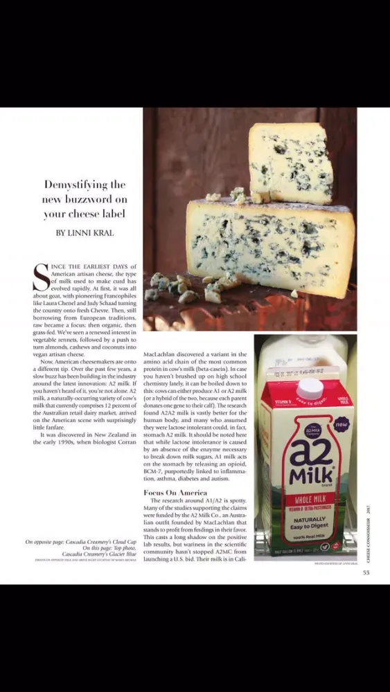 Tangkapan skrin Cheese CONNOISSEUR