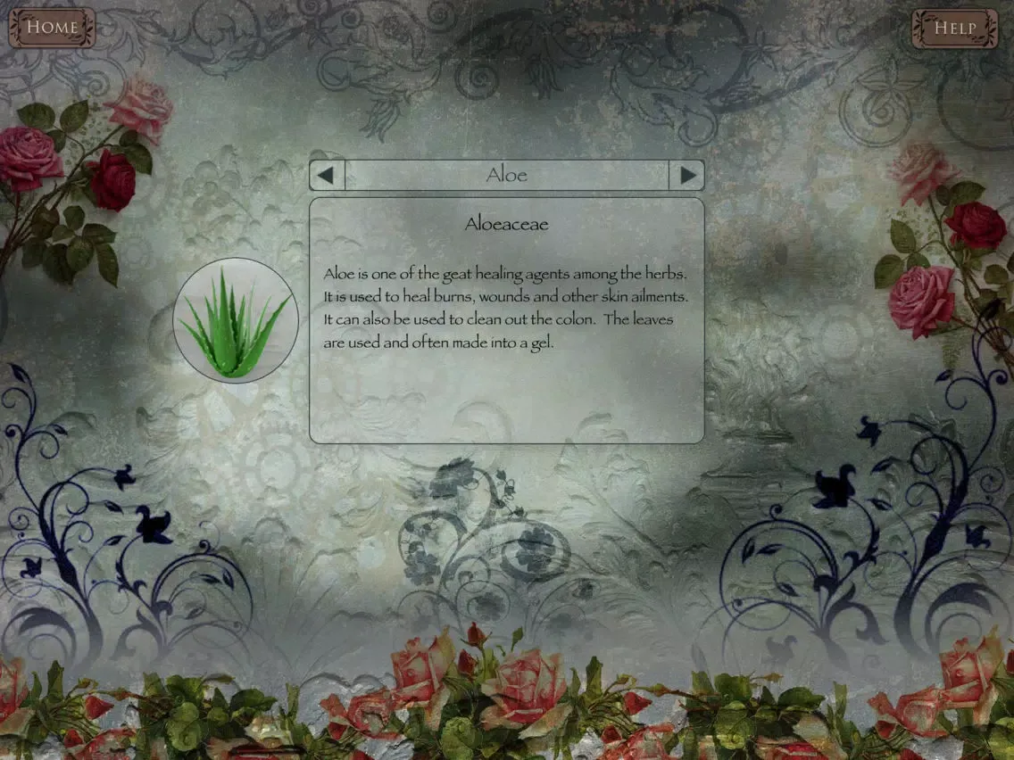 Capturas de tela do Steam Gadgetz iPad 