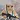 PixelZS