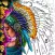 Adult Coloring Paint by Number