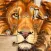 Jigsaw Puzzles HD: Puzzle Game