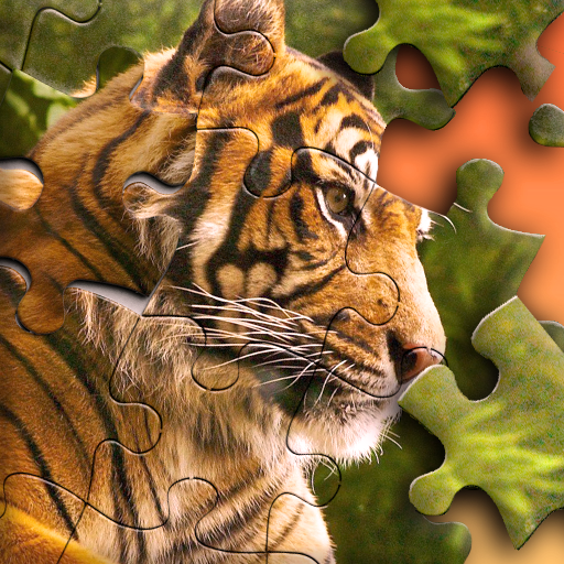 Jigsaw Puzzle