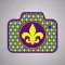 Mardi Gras Cam