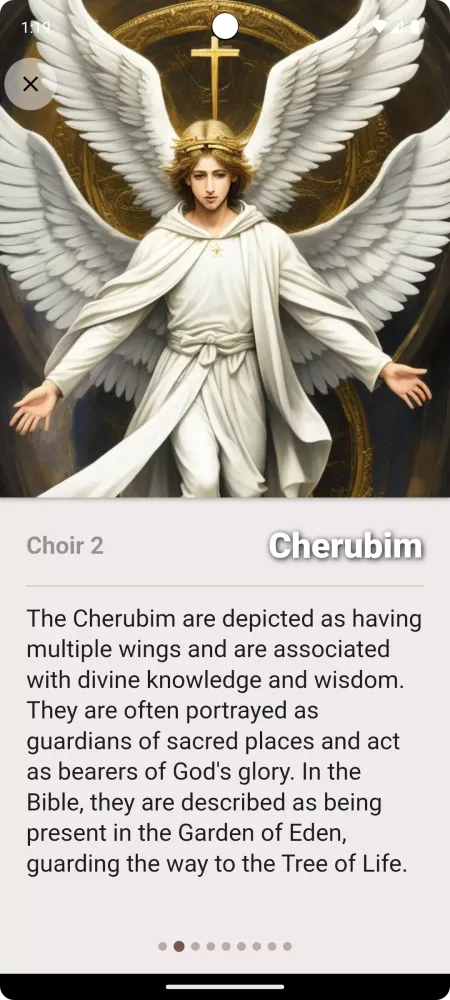 Nine Choirs Of Angels Screenshots