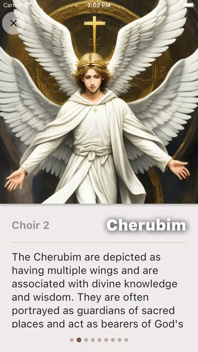 Nine Choirs Of Angels Screenshots
