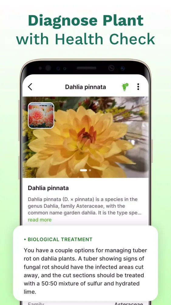 PlantID Screenshots