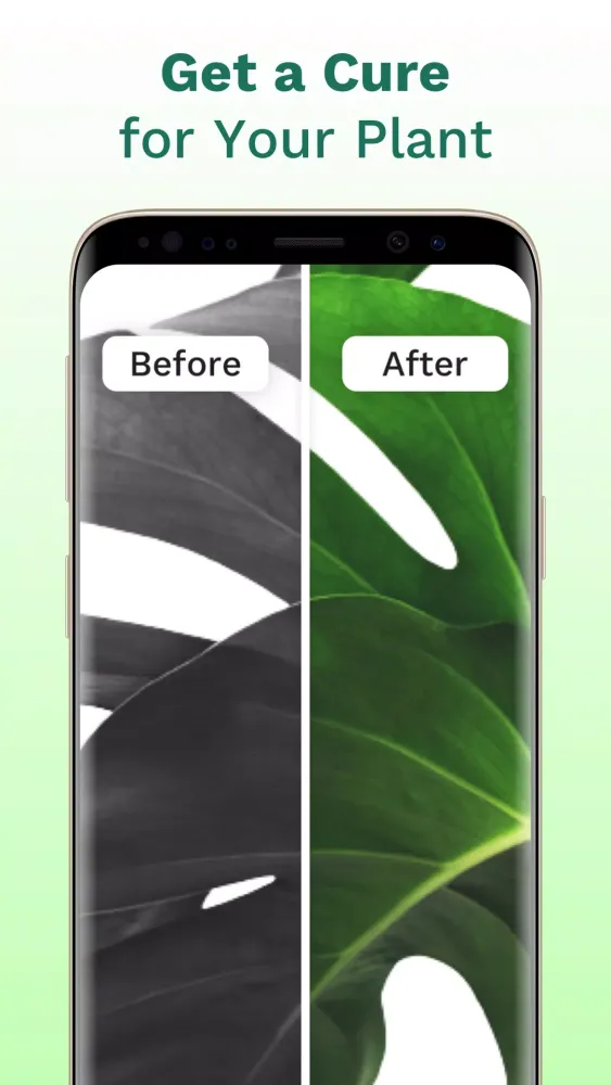 PlantID Screenshots