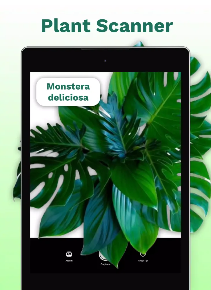 PlantID Screenshots