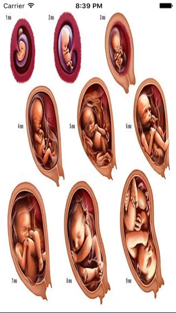 Pregnancy Portal Screenshots