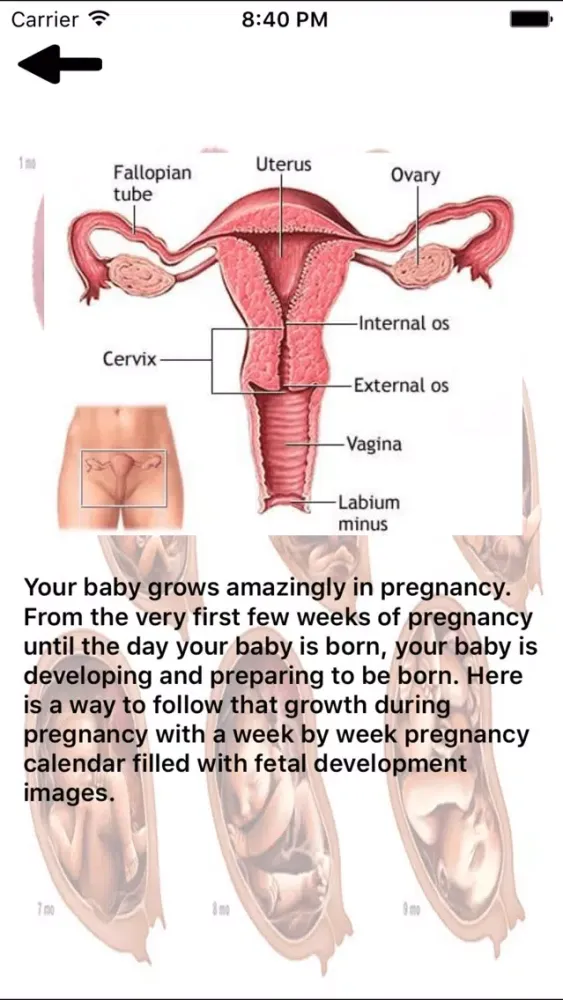 Pregnancy Portal Screenshots