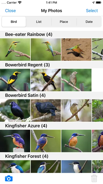 Скриншоты Pizzey and Knight Birds of Aus