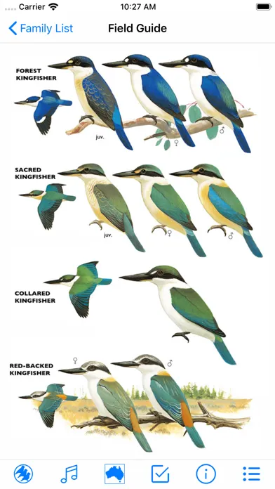 Скриншоты Pizzey and Knight Birds of Aus
