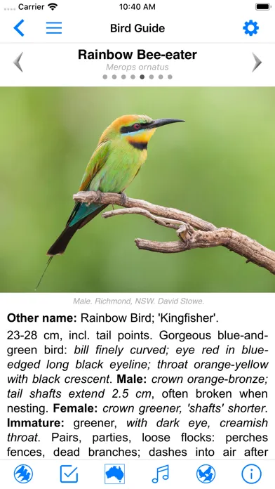 Скриншоты Pizzey and Knight Birds of Aus