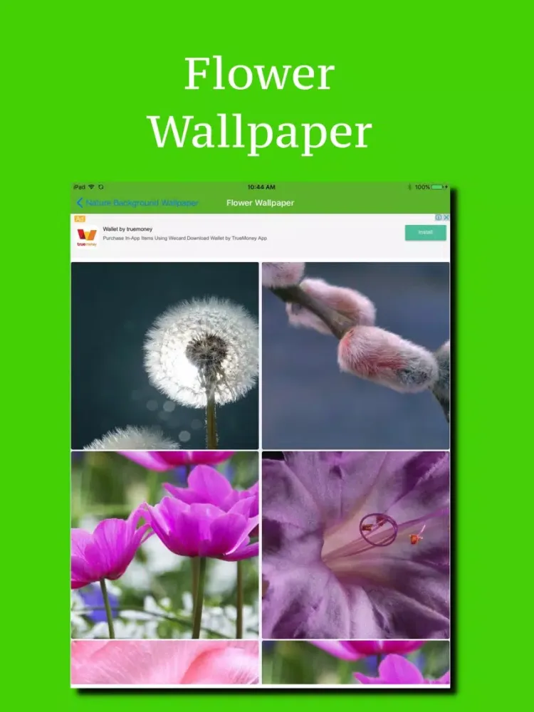 Capturas de pantalla de Nature Background Wallpaper iPad 
