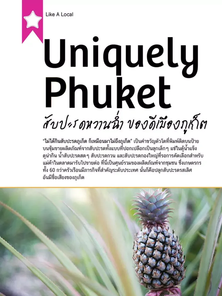 TH Phuket eMagazine Apr-May 16 iPad 应用截图