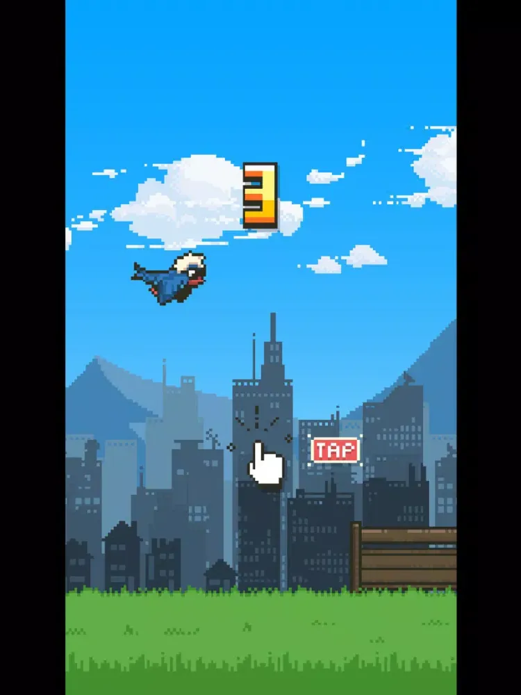 Birdy Sanders iPad 應用截圖