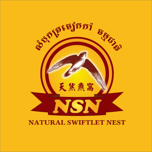 NSN