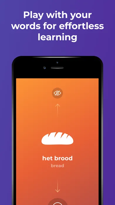 Learn Dutch language - Drops 스크린샷