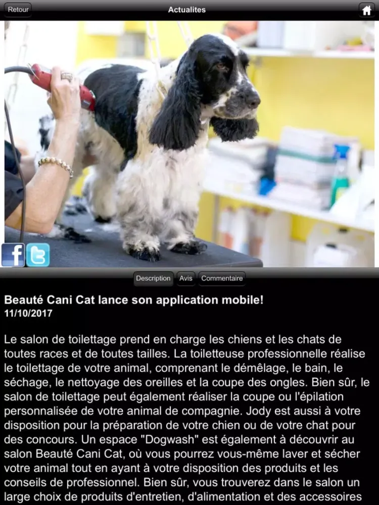 Beauté Cani Cat iPad  स्क्रीनशॉट