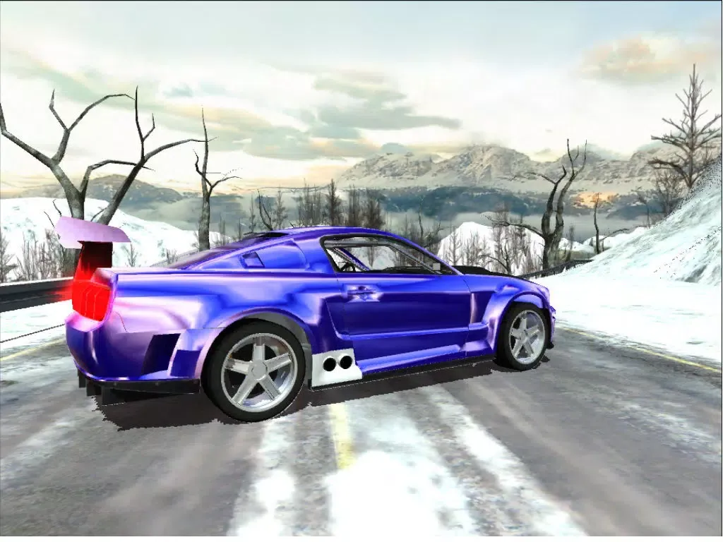 Car Race Winter iPad  Ekran Görüntüleri