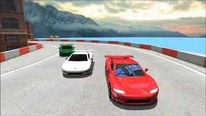 Screenshot di Sports Cars Racing