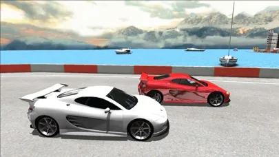 Screenshot di Sports Cars Racing