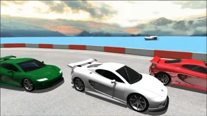 Screenshot di Sports Cars Racing