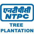 NTPC TreePlantation