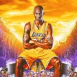 Kobe Bryant : Wallpaper HD GIF
