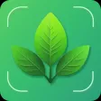 Plant Care & AI Identification Plant Care & AI Identification