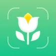 Plant Care Detect