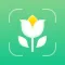 Plant Care Detect