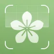 Plant Identifier AI: PlantID++