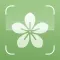 Plant Identifier AI: PlantID++