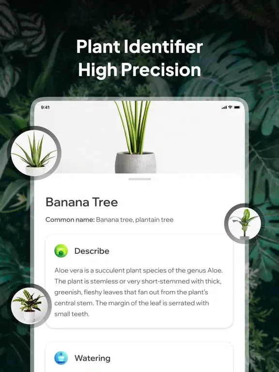 Plant Identifier AI: PlantID++ iPad 应用截图