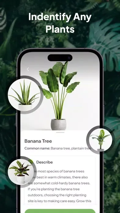 Plant Identifier AI: PlantID++应用截图