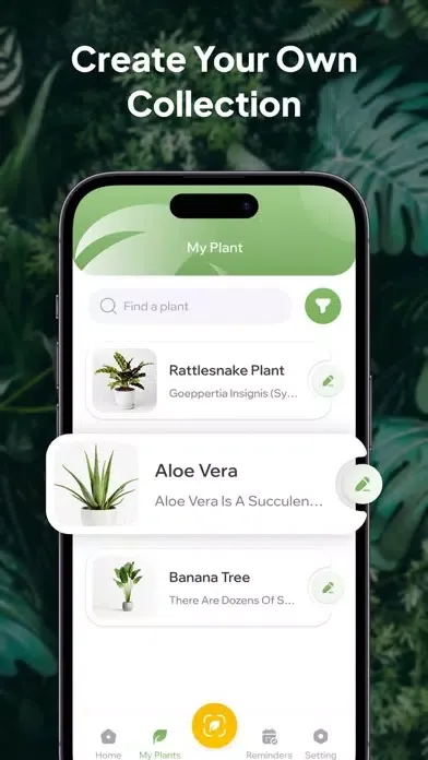 Plant Identifier AI: PlantID++应用截图