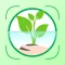 Plant Care And Identification
