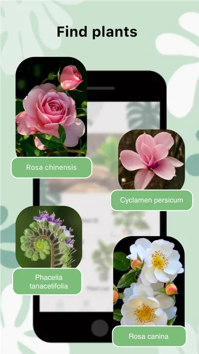 Plant Care And Identification स्क्रीनशॉट
