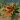 Plant Monster Simulator