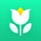 Plant Parent: Plant Care Guide