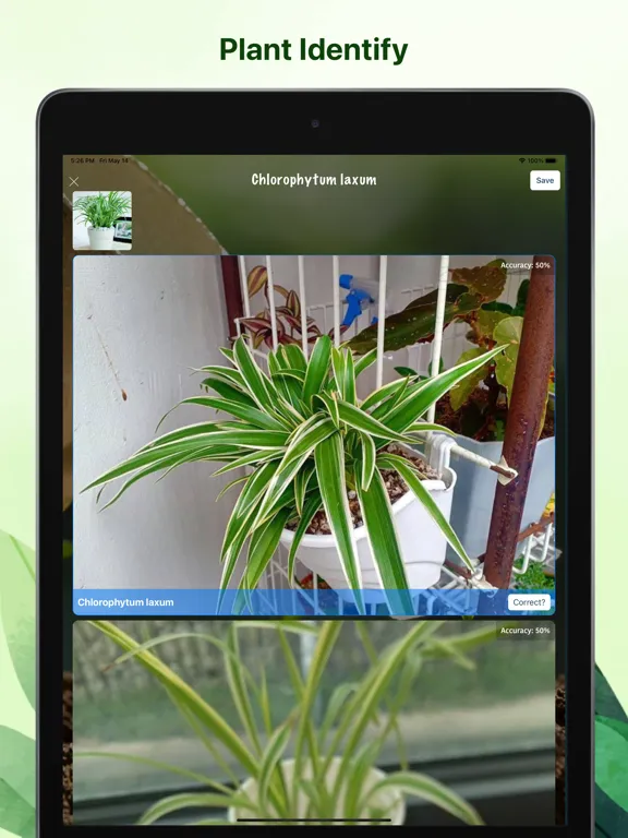 Weed identification leaf snap iPad  স্ক্রিনশট